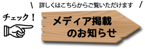 メディア